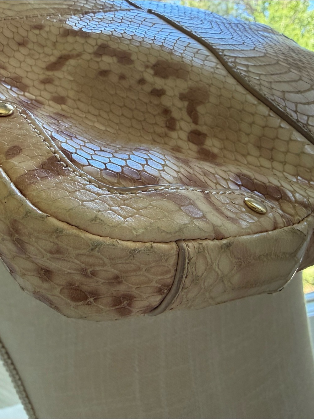 Elaine Turner Python Embossed Clutch w/ Bamboo Clasp & Chain Strap - Picture 12 of 12